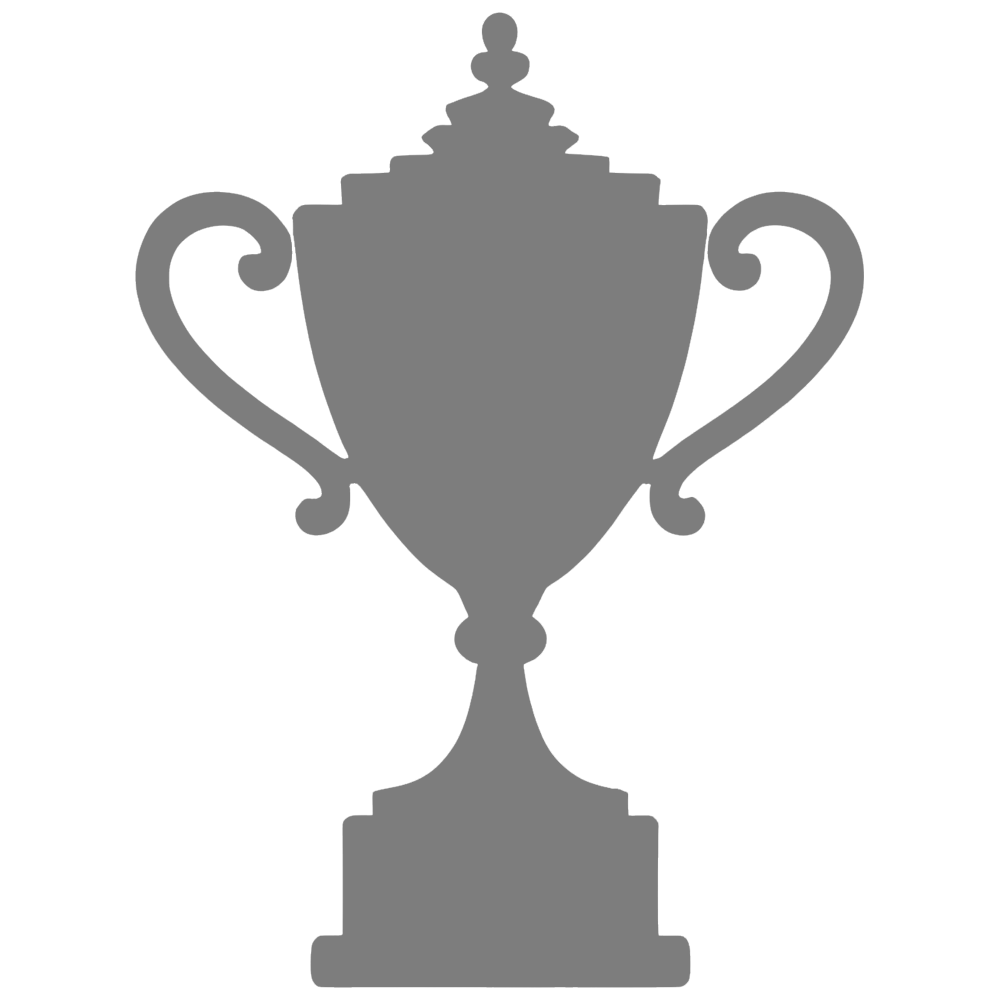 birmingham-league-champions-silver