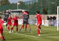 img_0784-1.jpg